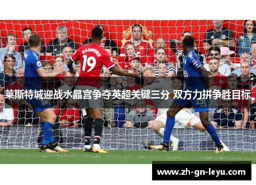 莱斯特城迎战水晶宫争夺英超关键三分 双方力拼争胜目标