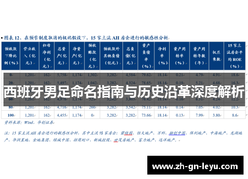 西班牙男足命名指南与历史沿革深度解析