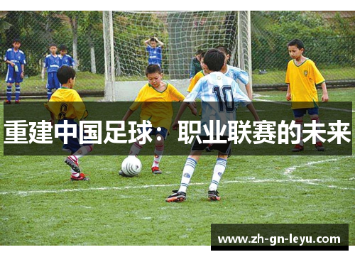 重建中国足球：职业联赛的未来